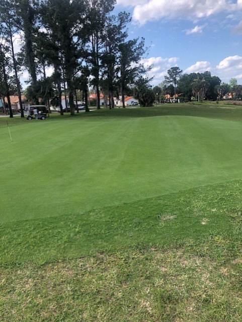 Hole 6 greens with flag, cart, trees, and houses under a bright, partly cloudy sky.