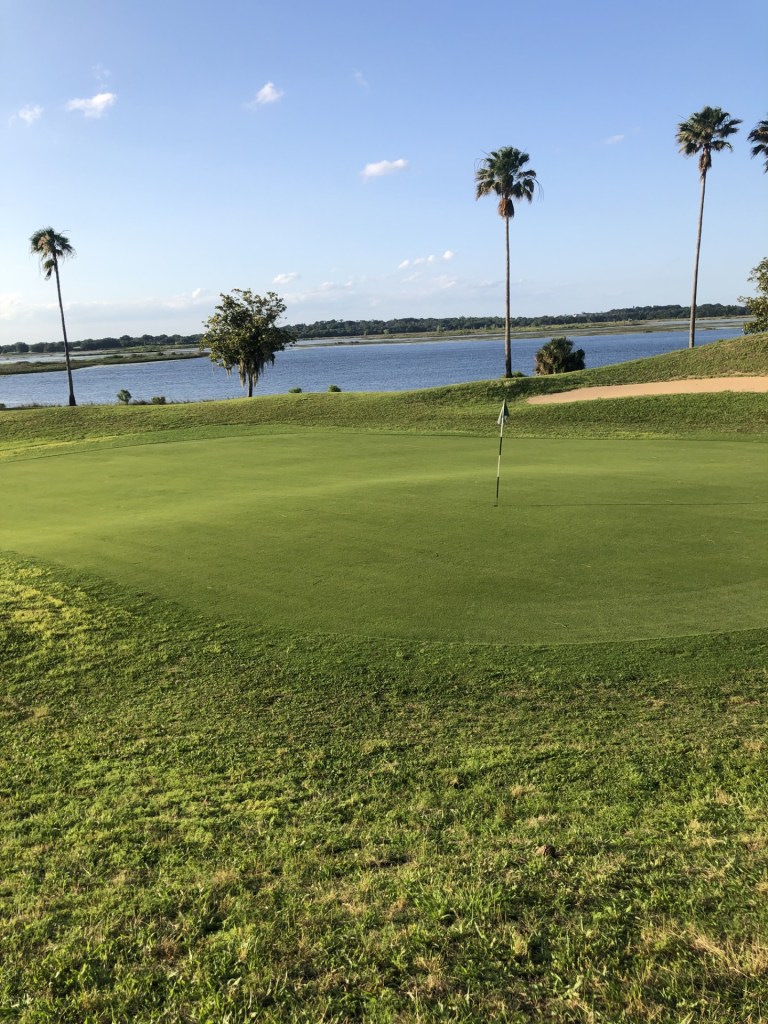 Hole 8 greens with flag and palm trees under a bright, partly cloudy sky. A lake in the background.