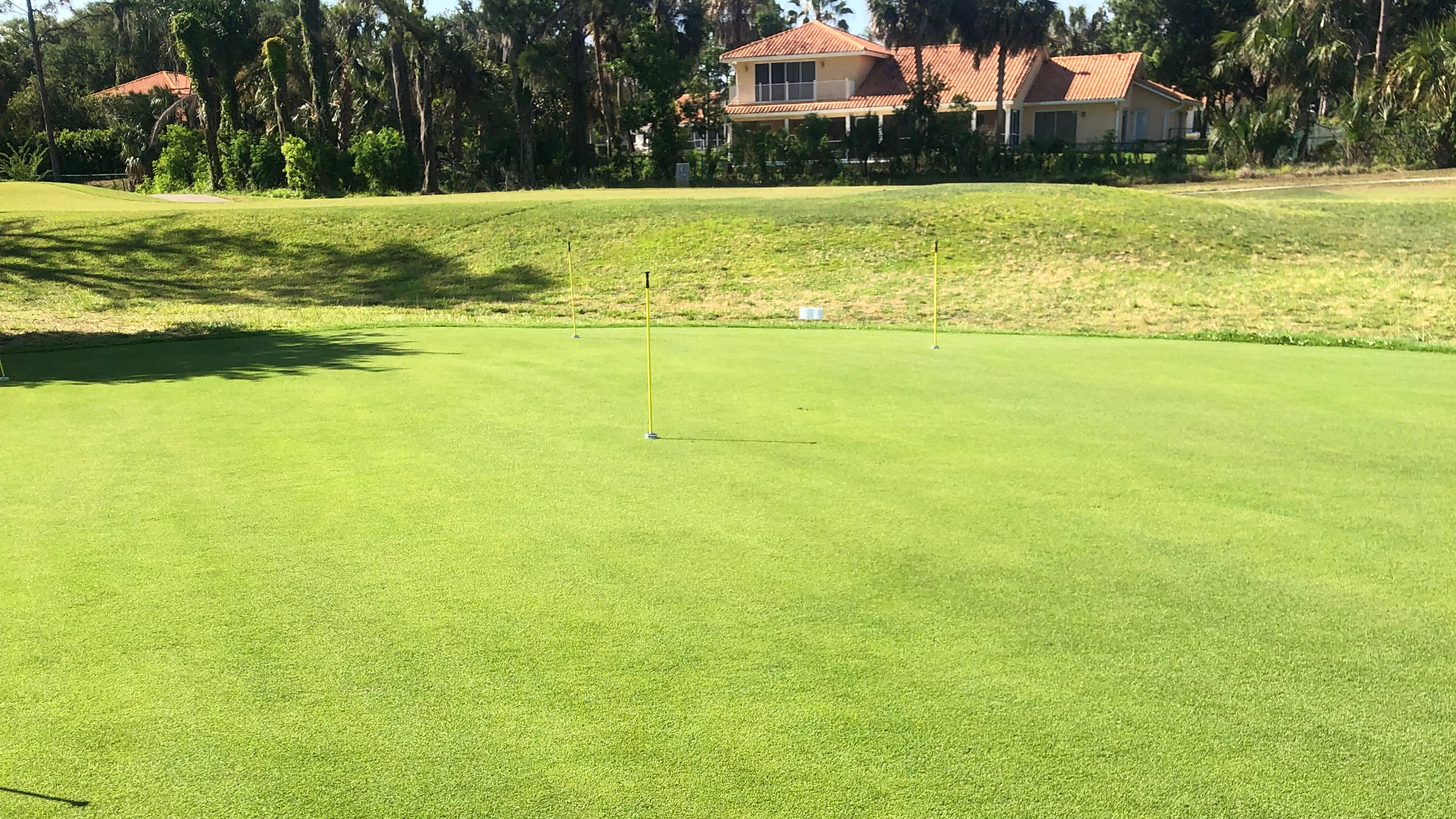 Golf course green with community in distance