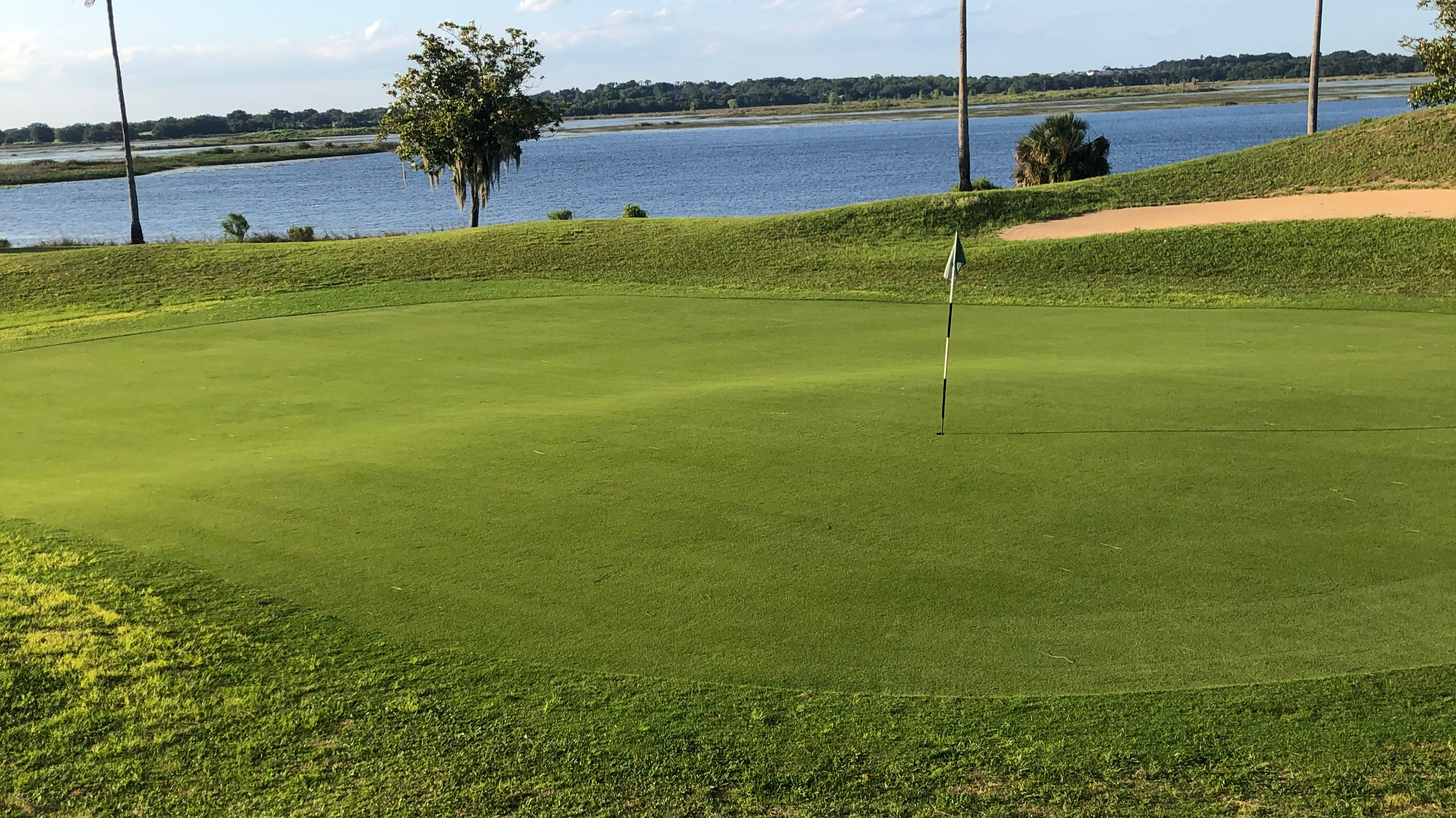 Golf course green with trees and pond in distance