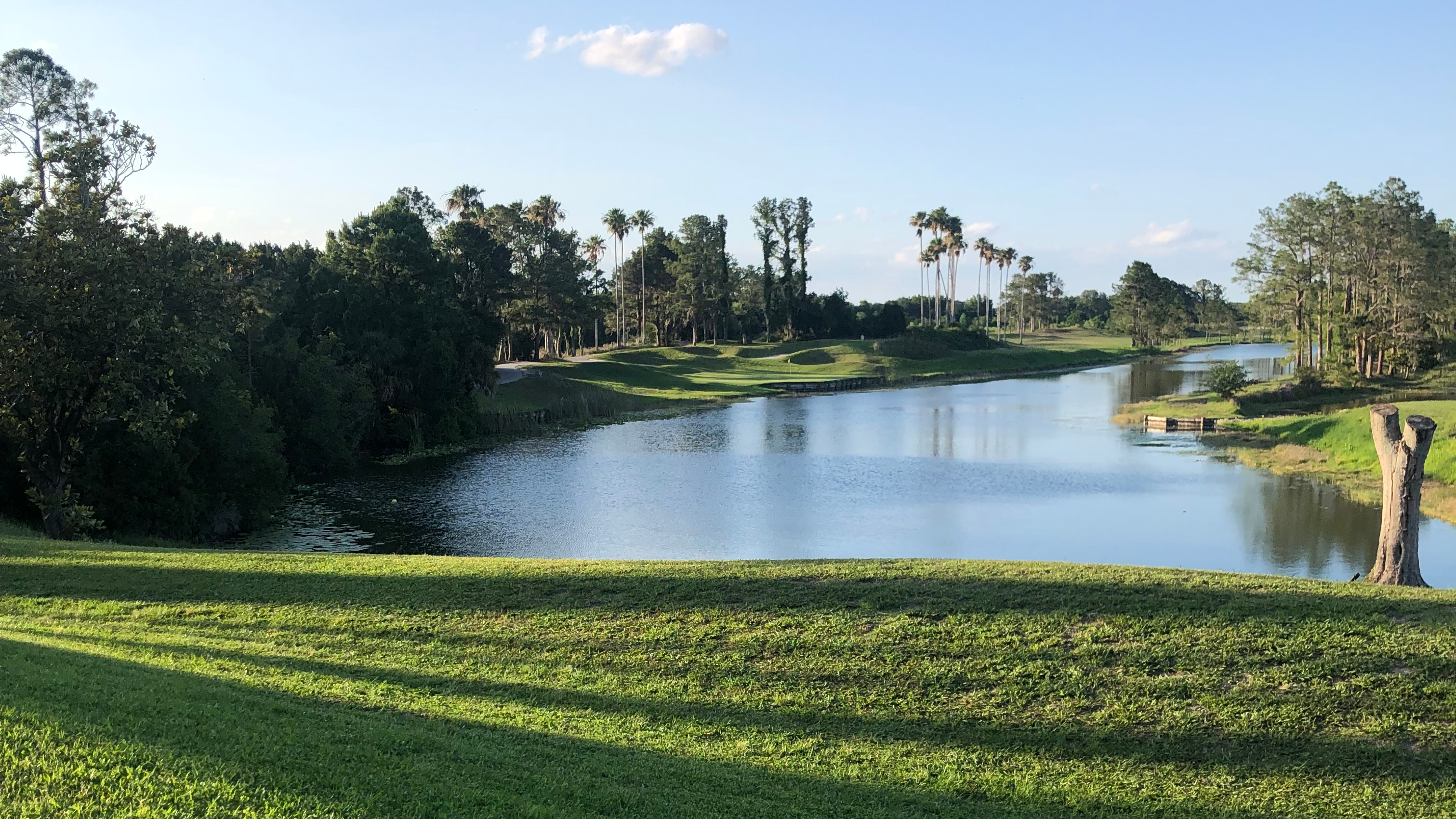 Pond on golf course